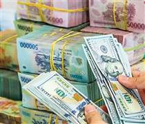 Sau Tết: Giá đô la, lãi suất qua đêm liên ngân hàng cùng tăng mạnh