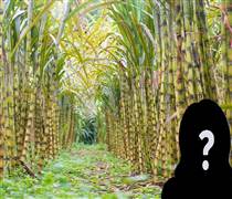 Cụ bà U90 sở hữu khối tài sản hơn 400 tỷ đồng, đút túi hơn 40 tỷ tiền cổ tức trong vòng 1 năm