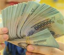 Chốt quyền ngày 26/02/2026: 4 doanh nghiệp trên sàn trả cổ tức tiền mặt trên 1.000 đồng/CP