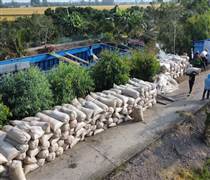 Philippines “siết” lượng nhập khẩu từ tháng 3-2026, lúa gạo ĐBSCL sẽ gặp khó?