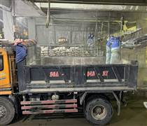 Ngành xi măng vào nhịp sản xuất