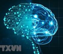 Những mặt trái bất ngờ của việc ứng dụng AI đối với doanh nghiệp