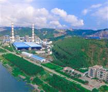 Chủ tịch Nhiệt điện Quảng Ninh lên tiếng về việc Phó Tổng Giám đốc kiêm Thành viên HĐQT bị khởi tố, bắt tạm giam