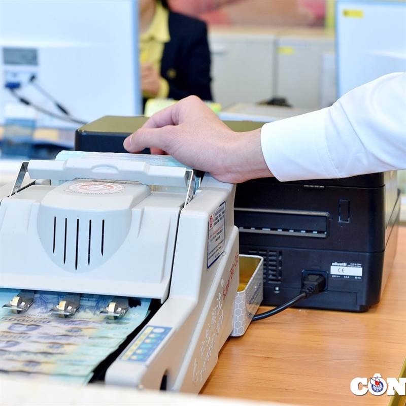 VLA: Doanh nghiệp đào tạo ‘làm giàu’ doanh thu quý IV/2025 lao dốc 92%, lợi nhuận năm tăng nhờ đầu tư tài chính