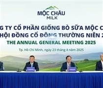 MCM: Tồn đọng hơn 633 tỷ đồng vốn huy động sau 5 năm, lợi nhuận 2025 chỉ đạt 72,8% kế hoạch