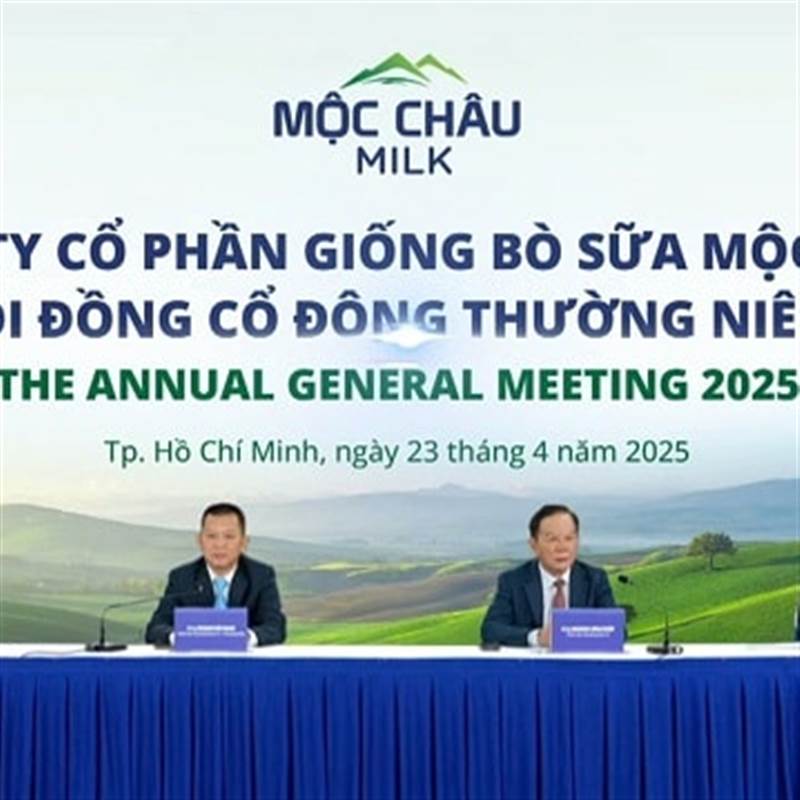 MCM: Tồn đọng hơn 633 tỷ đồng vốn huy động sau 5 năm, lợi nhuận 2025 chỉ đạt 72,8% kế hoạch