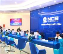 NVB: Sắp chào bán 1 tỷ cổ phiếu riêng lẻ, dự kiến thu về 10.000 tỷ đồng