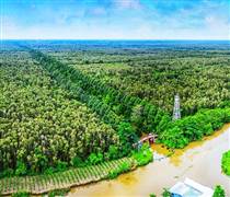 Cần Thơ kiện toàn quản lý khu du lịch Lung Ngọc Hoàng