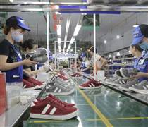 GTD: Cổ đông lớn của Giầy Thượng Đình hạ sở hữu trước thềm ĐHĐCĐ bất thường