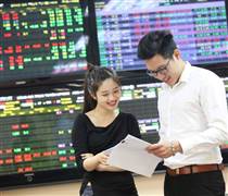 BIDV, BSR, Becamex... lọt vào tầm ngắm rà soát đặc biệt