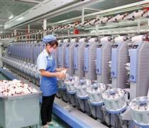 ADS: DamSan và chiến lược "kiềng ba chân"