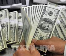 Đồng USD có tháng tăng giá đầu tiên kể từ tháng 10/2025