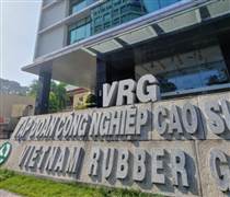 Thanh tra Chính phủ chỉ điểm loạt vi phạm tài chính, đầu tư tại Tập đoàn Cao su Việt Nam