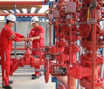 NT2: Dự kiến chính sách cổ tức hấp dẫn trong 2025 – 2028