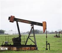 Trước nguy cơ giá dầu tăng mạnh, OPEC+ có thể tăng sản lượng trở lại