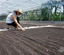 Việt Nam đón thêm tin vui từ Mỹ