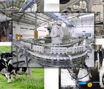 Việt Nam đặt mục tiêu sản xuất 9.700 triệu lít sữa vào năm 2045