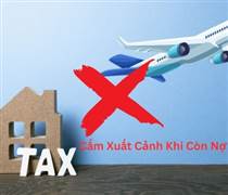 Tạm hoãn xuất cảnh 20 Giám đốc, Chủ hộ kinh doanh