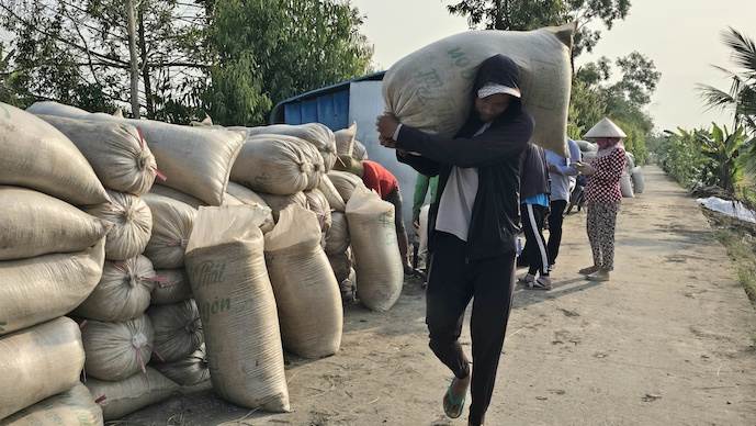 Giá gạo xuất khẩu tiếp tục giảm, áp lực dư cung phủ bóng thị trường