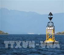 Khi "vàng đen" trở thành quân cờ địa chính trị