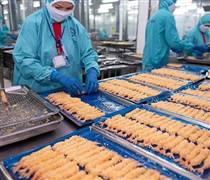 FMC: Do nghỉ Tết kéo dài, doanh số Thực phẩm Sao Ta sụt giảm hơn 50% trong tháng 2