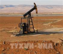 Giá dầu leo đỉnh 14 tháng khi xung đột Trung Đông đe dọa nguồn cung