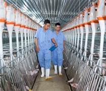 Doanh nghiệp niêm yết đón đầu chu kỳ tăng trưởng mới