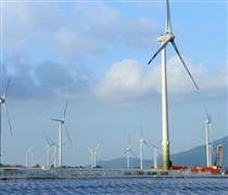 VIC: Vingroup nghiên cứu đầu tư các dự án điện gió quy mô lớn tại Cà Mau