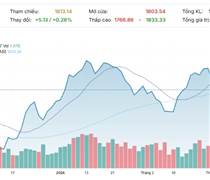 Xu hướng chứng khoán 5/3, mở vị thế mua mới