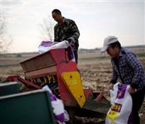 Thị trường phân bón toàn cầu căng thẳng, nông dân thấp thỏm