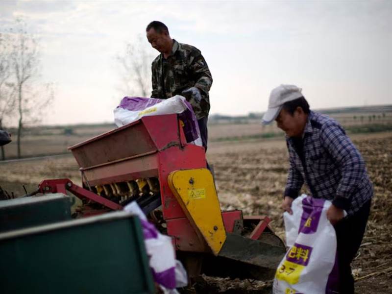 Thị trường phân bón toàn cầu căng thẳng, nông dân thấp thỏm