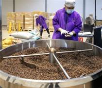 Giá cà phê lên nóng, xuống cũng nóng