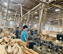 Quản trị điện năng là chìa khóa thực thi “xanh hóa” ngành gỗ