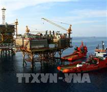 Petrovietnam được phép xuất nhập khẩu dầu thô, nguyên liệu sản xuất xăng dầu