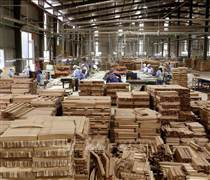 Doanh nghiệp gỗ và rau quả xoay xở khi chi phí logistics tăng mạnh