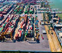 VGR: Cảng Xanh VIP hạ mục tiêu lợi nhuận năm 2026, lên kế hoạch “chuyển nhà” sang HOSE