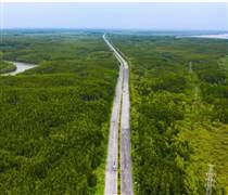 Đề xuất đầu tư tuyến vượt biển Cần Giờ – Vũng Tàu dài 14 km