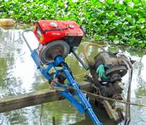 Phân bón, xăng dầu tăng giá, nông dân miền Tây ngóng ra đồng mà sốt ruột