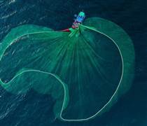 Loạt dự báo bất ngờ về thị trường chứng khoán sau phiên giảm điểm kỷ lục