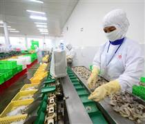 Xuất khẩu nông lâm thủy sản tăng tốc đầu năm 2026