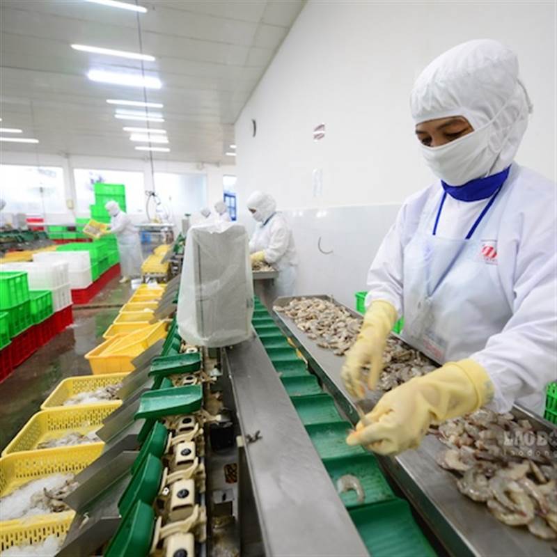 Xuất khẩu nông lâm thủy sản tăng tốc đầu năm 2026