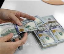 Sáng 11/3: Tỷ giá trung tâm giảm 3 đồng