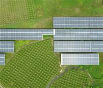 HIO: Cổ đông mua 76% cổ phiếu, Helio Energy bán nốt 5 triệu đơn vị cho 3 cá nhân