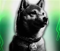 80 triệu DOGE bị bán ra trong một tuần: nhà đầu tư nhỏ lẻ đang bỏ cuộc ngay trước khi giá bứt phá?