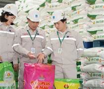 LAS: Cổ phiếu phân bón tăng nóng, vì sao LAS vẫn lình xình?