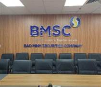 BMS: Chứng khoán Bảo Minh dự kiến niêm yết gần 204 triệu cổ phiếu BMS trên HoSE