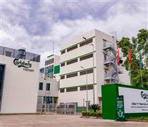 Hãng bia Carlsberg tại Việt Nam lỗ hơn 800 tỷ đồng năm 2025, dù doanh thu "khủng" gần 16.000 tỷ đồng