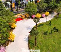 Chỉ đạo mới nhất về 11 khu 'đất vàng' TPHCM chuyển làm công viên