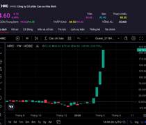 Cổ phiếu HRC tăng nóng, 14 phiên trần liên tiếp giữa vùng trống thông tin