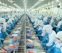 VHC: Vĩnh Hoàn dự kiến chi tối đa 945 tỷ đồng mua lại 15 triệu cổ phiếu quỹ